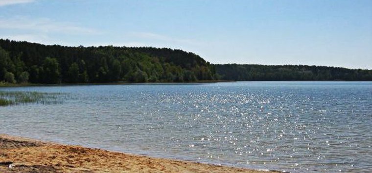 95 тысяч рублей потрятят на содержание пляжа в Островском районе
