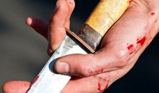 Тела матери и дочери с ножевыми ранениями обнаружены в островской деревне Карпово