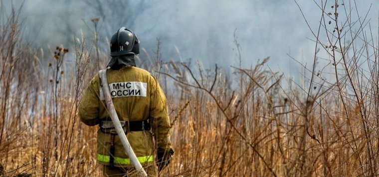 В Псковской области окончен пожароопасный сезон
