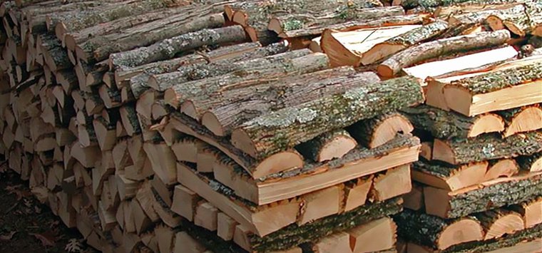 Директор Островских теплосетей наказан за нарушение при закупке дров
