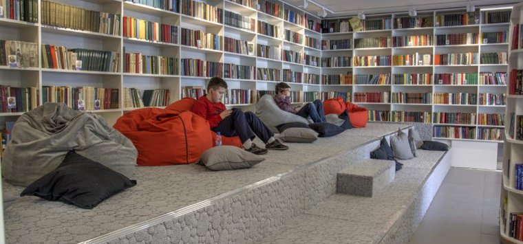 В районах Псковской области могут появиться библиотеки нового поколения