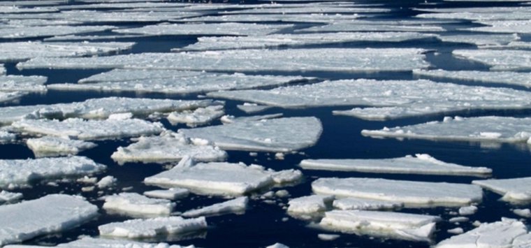 На реках в Псковской области тает лёд
