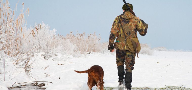 В Псковской области закончился осенне-зимний сезон охоты