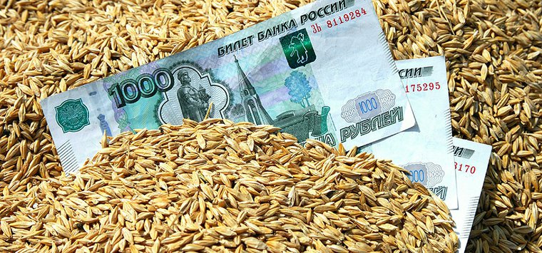 Островские производители зерновых культур могут получить субсидии