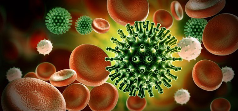 Еще 19 человек заразились коронавирусом в Островском районе