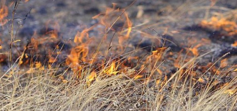 Островичам напоминают о запрете выжигания сухой травы