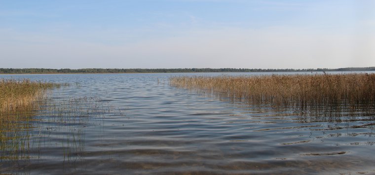 Власти Островского района объяснили, почему закрыт пляж на Гороховом озере