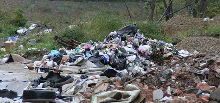 Около миллиона рублей планируется направить на уборку стихийных свалок в Острове