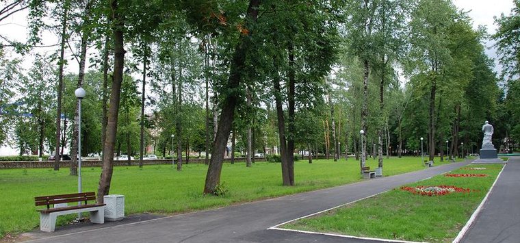 300 кустов гортензии, площадка для воркаута и дерево молодоженов появятся в Парке Победы