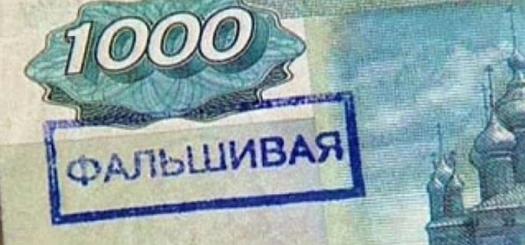 Расплатившийся фальшивками в островском магазине москвич лишился свободы