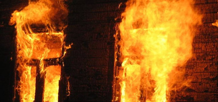 Жилой дом сгорел в островской деревне Демешкино