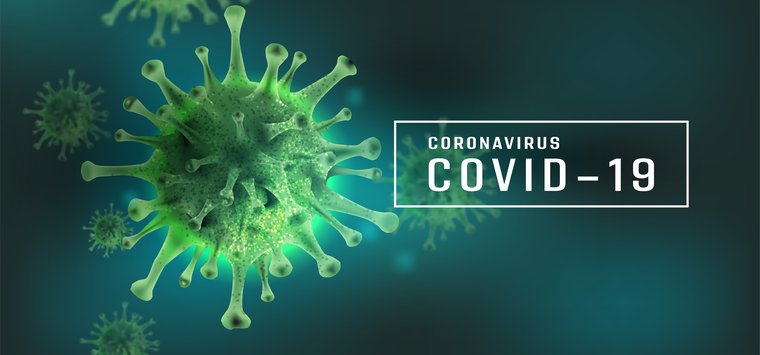 Ирина Богачева: 2020-й - год войны с коронавирусом