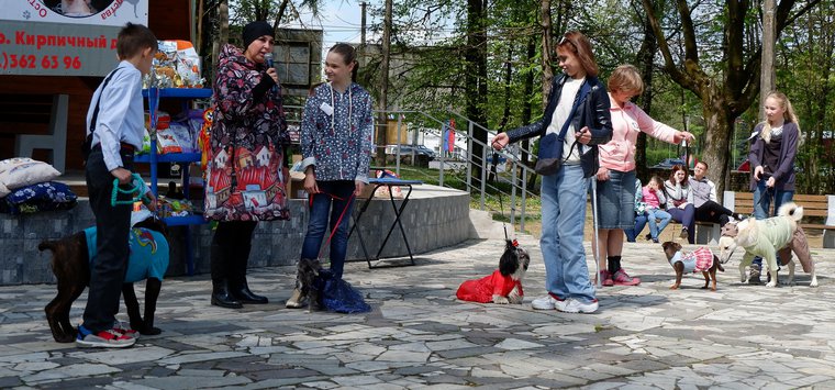 Выставка собак в Острове (ФОТОРЕПОРТАЖ)