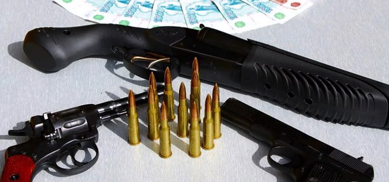 Положение о выплатах за сдачу оружия утвердил Михаил Ведерников
