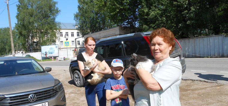 Более 300 животных привили от бешенства островские ветврачи