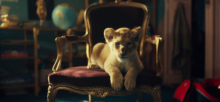 Семейный фильм «Король-львёнок» покажут островичам