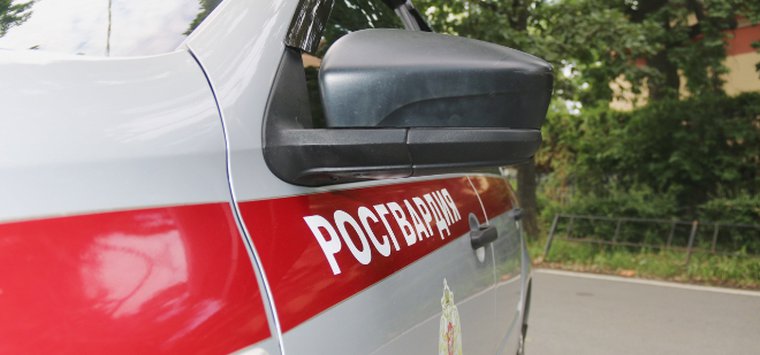 Островича задержали за кражу из магазина