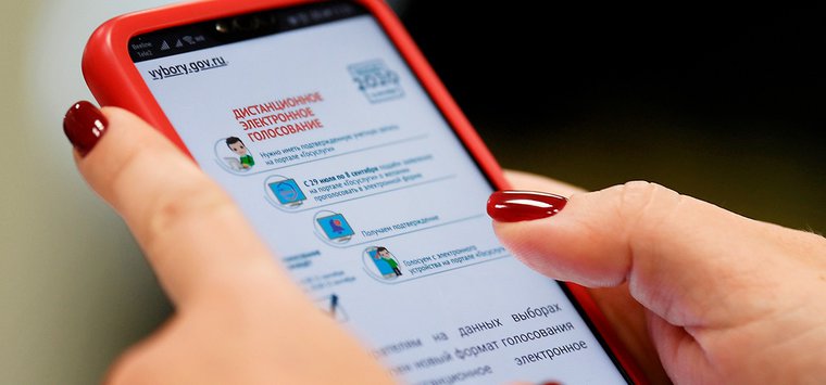Более 30 тысяч заявлений на участие в ДЭГ подано в Псковской области