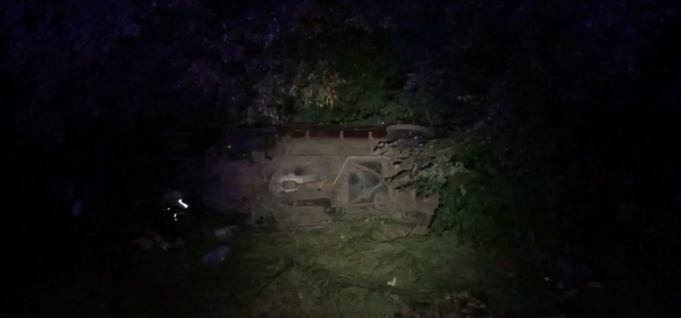 Четыре человека погибли при столкновении автомобиля с лосем в Островском районе