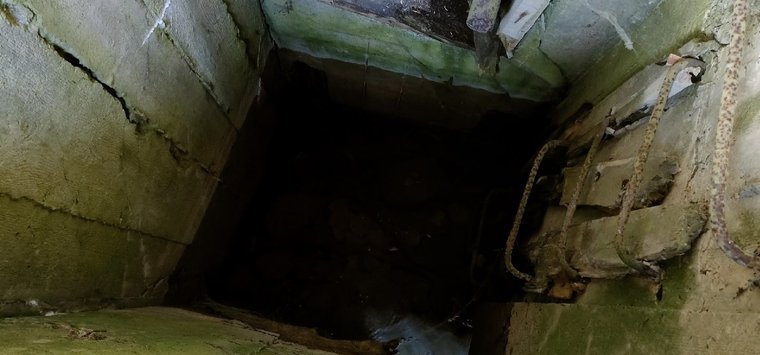 Свалку устроили в ДОТе на границе Островского и Пыталовского районов