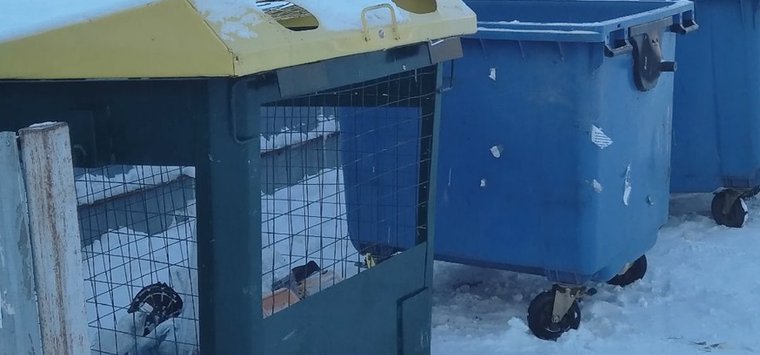Контейнерные площадки в Острове оперативно очистили от снега
