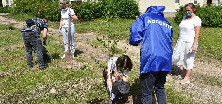 В Острове высадили 75 деревьев в рамках патриотической акции «Сад Памяти»