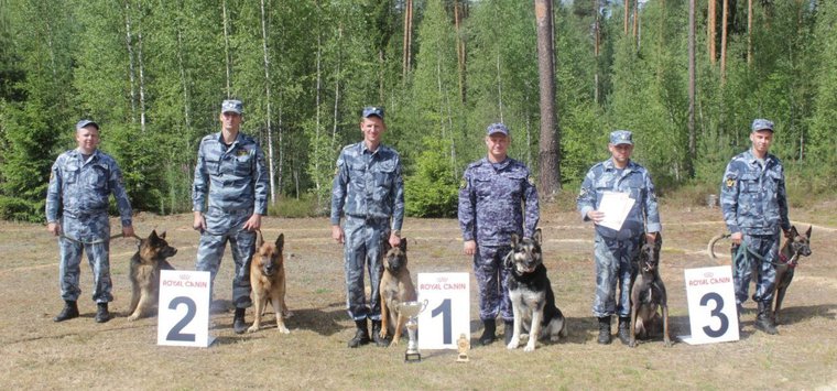 Кинолог из островской колонии отличился на соревнованиях УФСИН