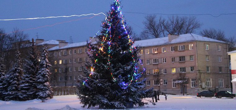 Михаил Ведерников поручил обеспечить безопасность в новогодние праздники