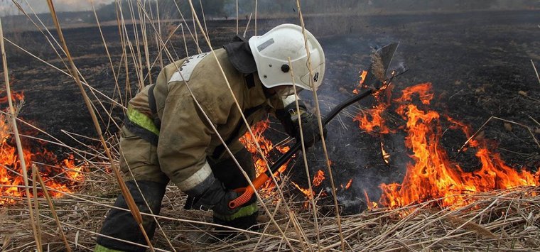Пожароопасный сезон в Псковской области объявлен с 20 марта