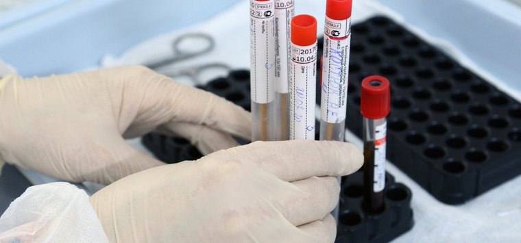 С начала недели 13 человек в Острове заразились коронавирусом