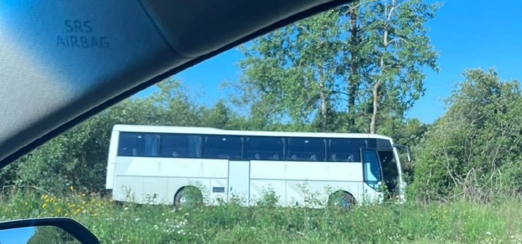 В Островском районе автобус съехал в кювет из-за лося