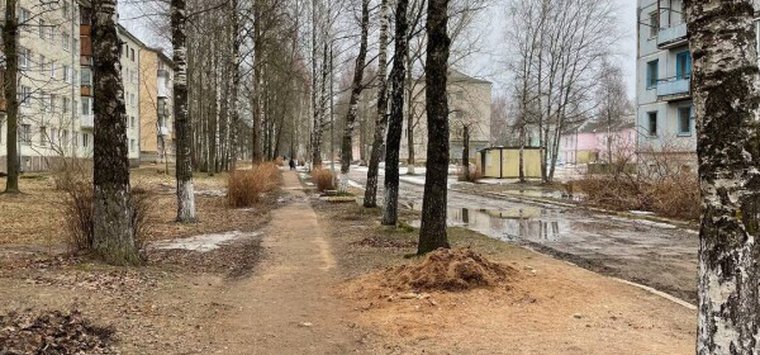 За обновление на улице Шумейко голосуют большинство островичей