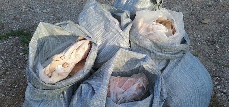 Пять мешков свиных шкурок получил приют для бездомных собак в Острове