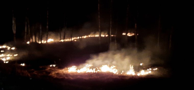 Большой пал травы зафиксирован у островской деревни Гораи
