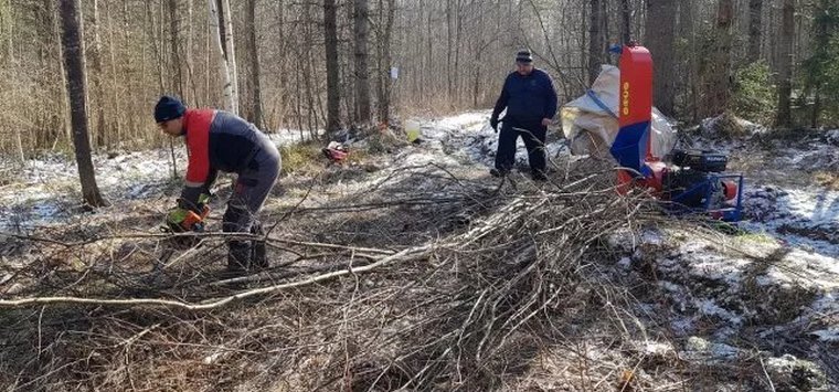 «Зеленый крест» наводит порядок в кедровнике в Островском районе