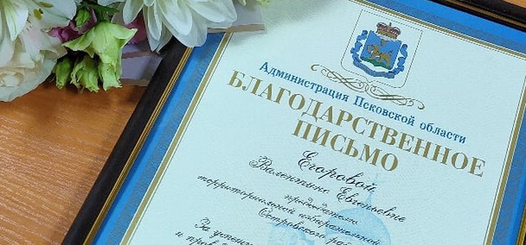Члены ТИК Островского района получили награды