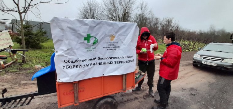 Проект по сохранению островских кедров оценят в рамках «Народного признания»
