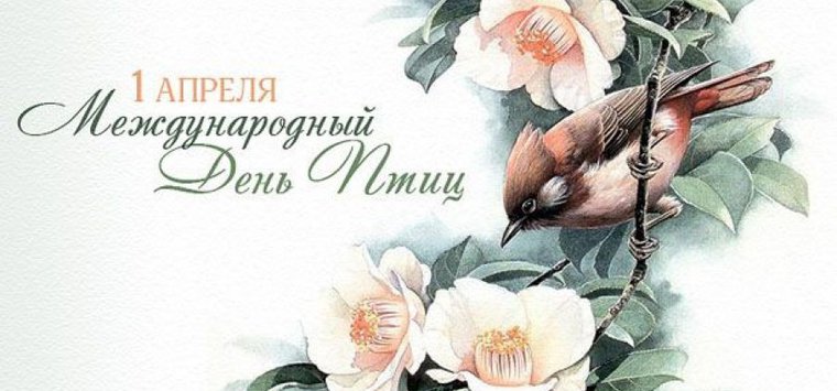 В конкурсе «Птичья страна» приглашают принять участие островичей