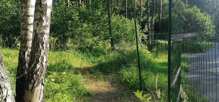 Вандалы сломали забор в островском спортцентре «Юность»