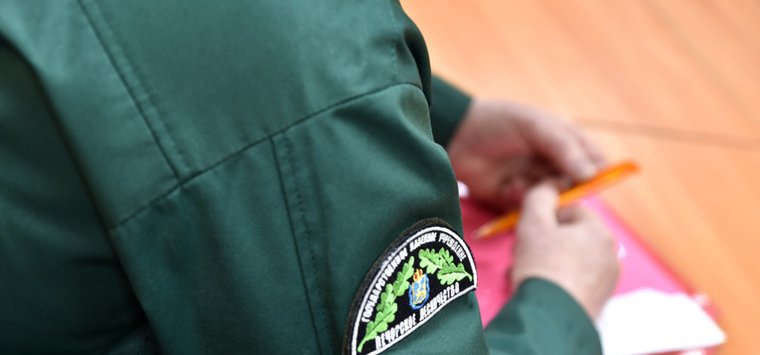 В Островском районе готовятся к ликвидации палов травы