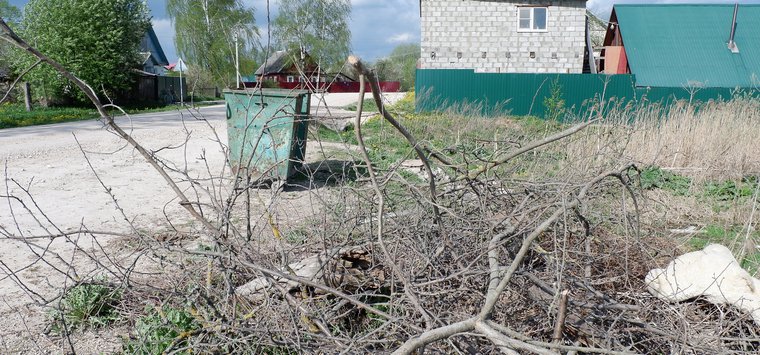 Жители Островского района собрали почти 50 тонн мусора
