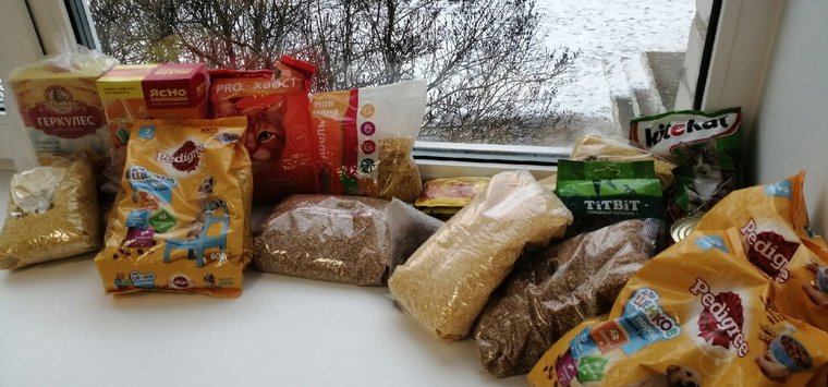 80 кг сухого корма собрали островичи для бездомных собак и кошек