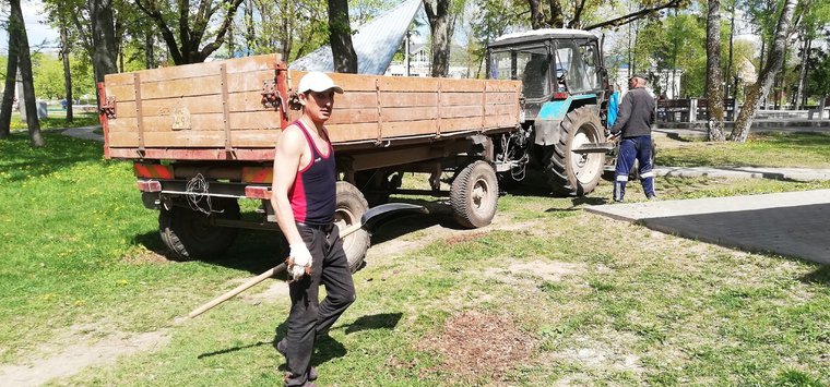 В Острове привели в порядок газоны в парке Победы