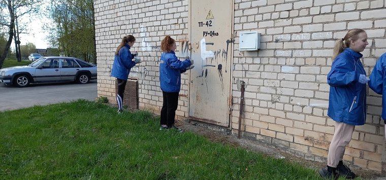 К акции «Десант чистоты» подключились островские волонтеры