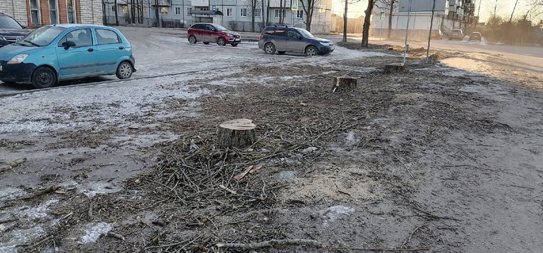 Интерактив: А дальше сами?