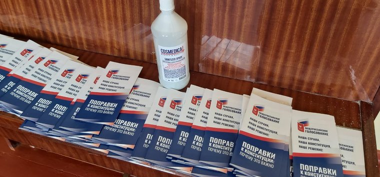 Участковые комиссии Островского района готовятся к проведению общероссийского голосования