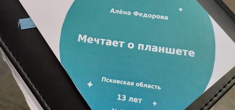 Депутат сделал подарок юной островичке накануне Нового года
