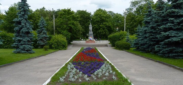 Более 10 тысяч цветов высадят в Острове в этом году
