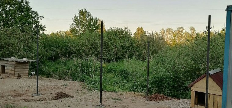 Помочь в строительстве вольеров просит островичей приют для бездомных собак