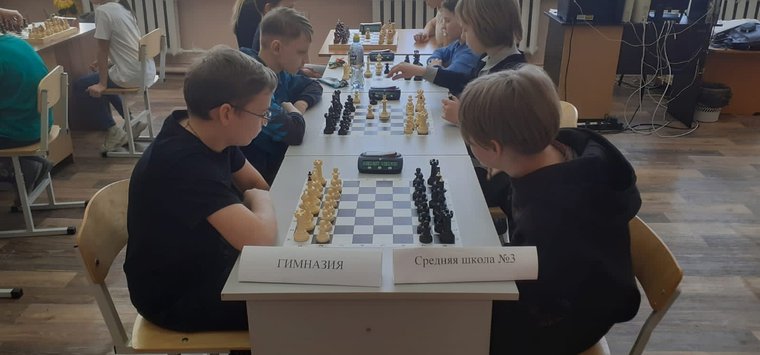 В Острове провели турнир по шахматам «Белая ладья»